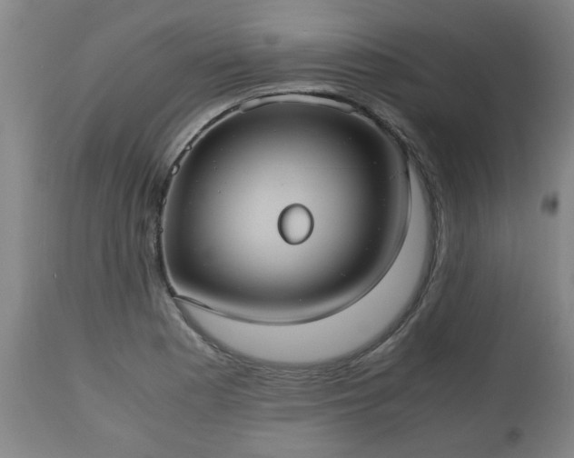X0000110931177200906251326