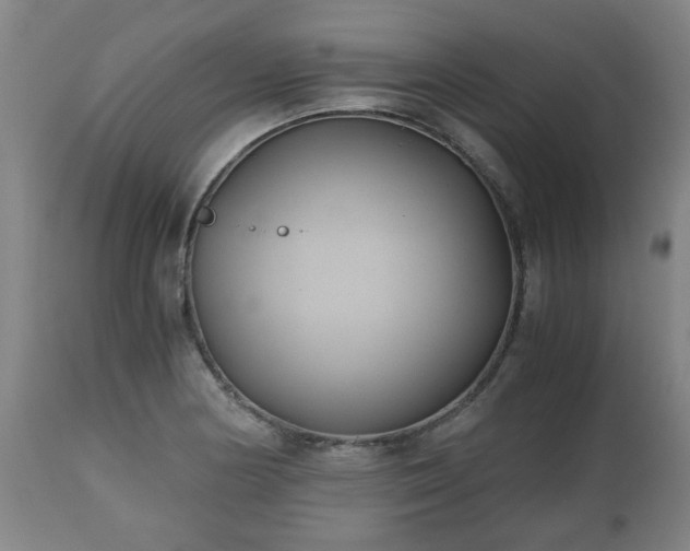 X0000110931178200906251326
