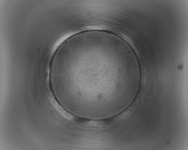 X0000110931179200906251326