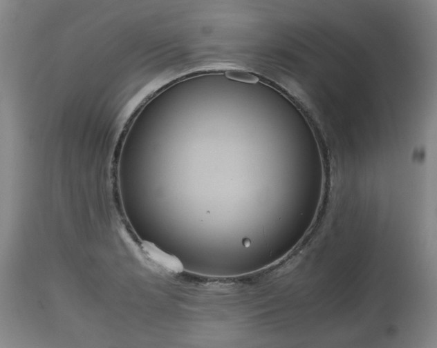 X0000110931181200906251326