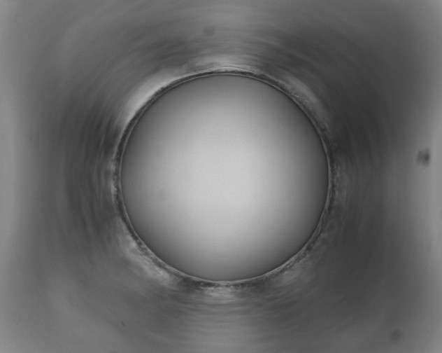 X0000110931182200906251326