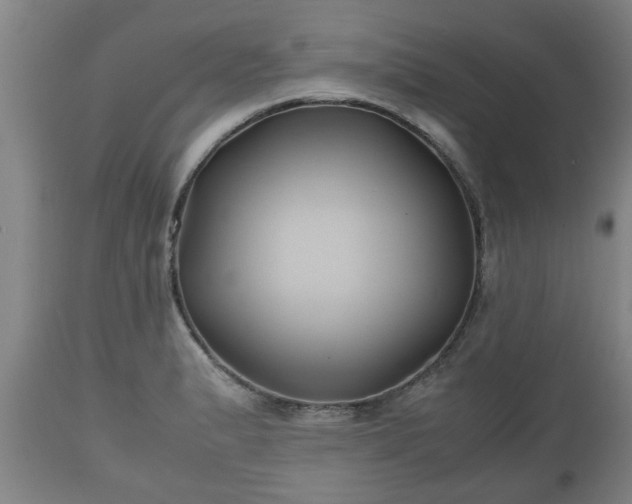 X0000110931183200906251326