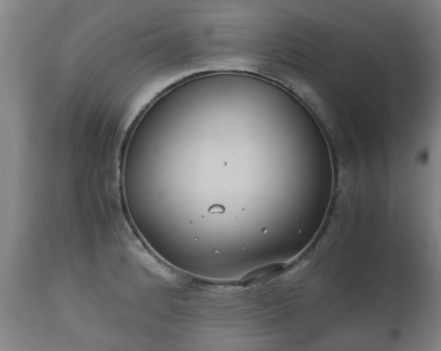 X0000110931184200906251326