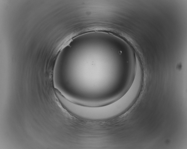 X0000110931185200906251326