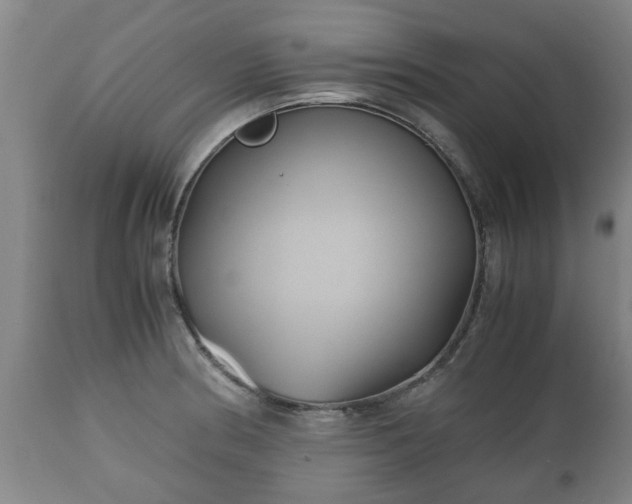 X0000110931186200906251326