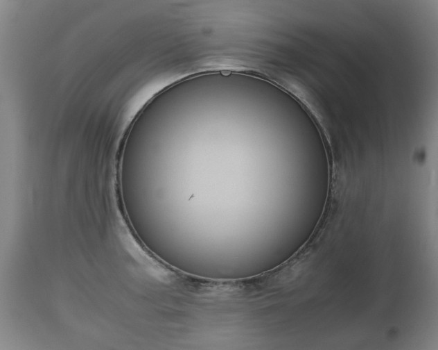 X0000110931187200906251326