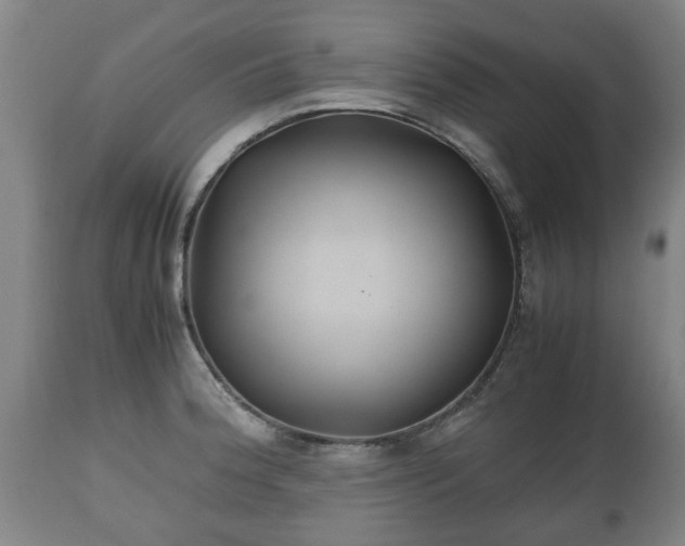 X0000110931188200906251326