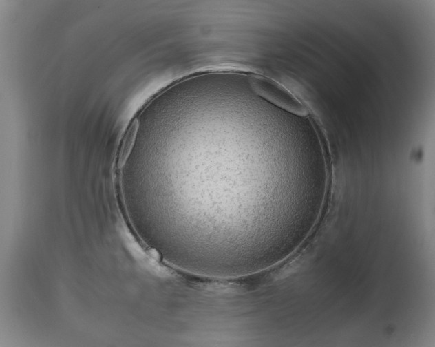 X0000110931189200906251326