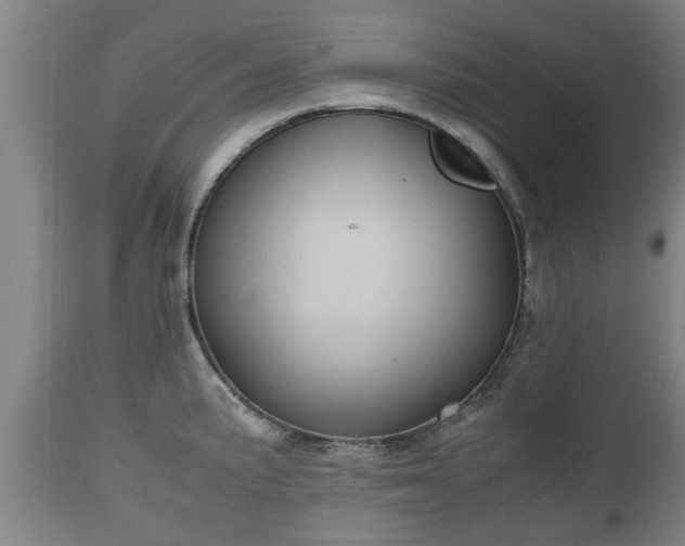 X0000110931191200906251326