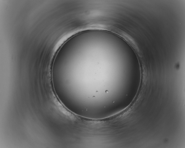 X0000110931192200906251326