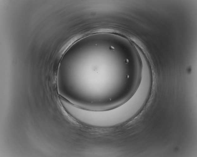 X0000110931193200906251326