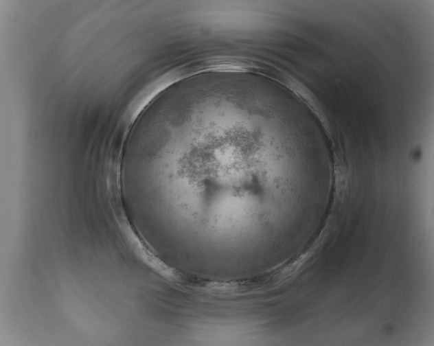X0000110931194200906251326