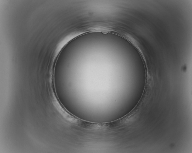 X0000110931195200906251326