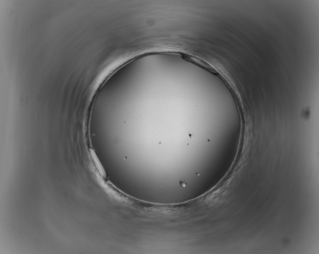 X0000110931197200906251326