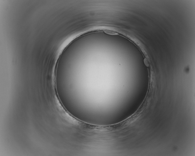 X0000110931199200906251326