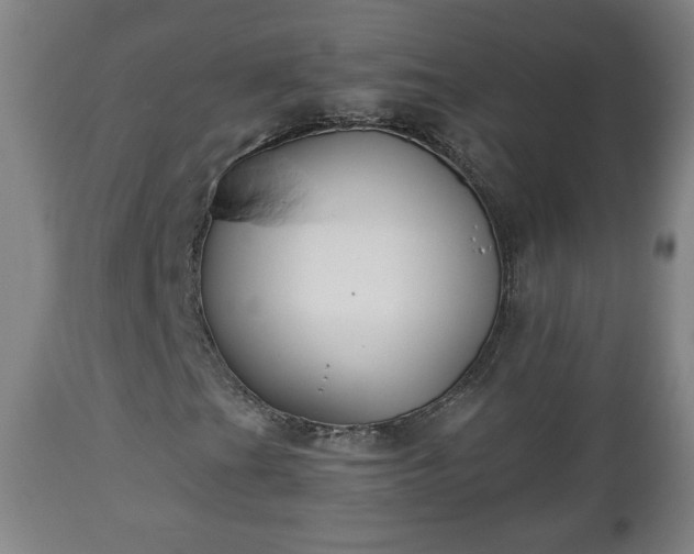 X0000110931201200906251325