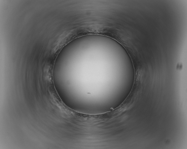 X0000110931202200906251325