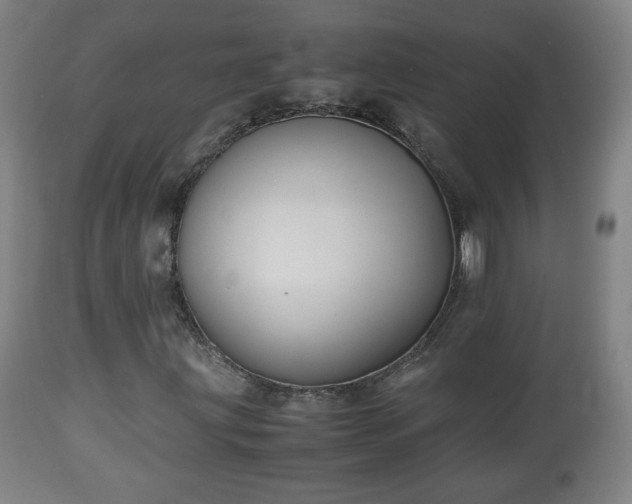 X0000110931203200906251325
