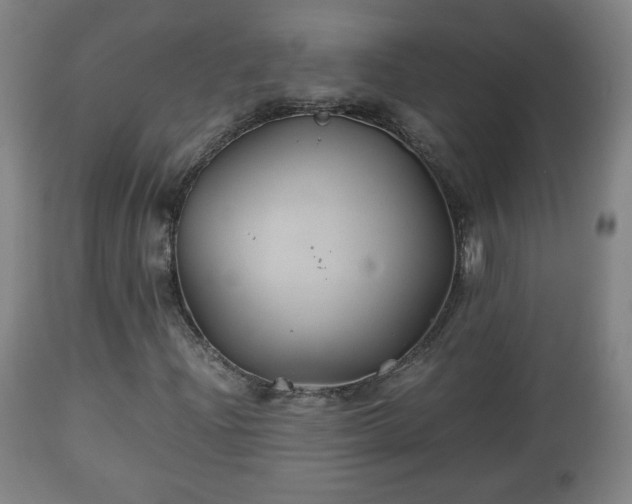 X0000110931204200906251325