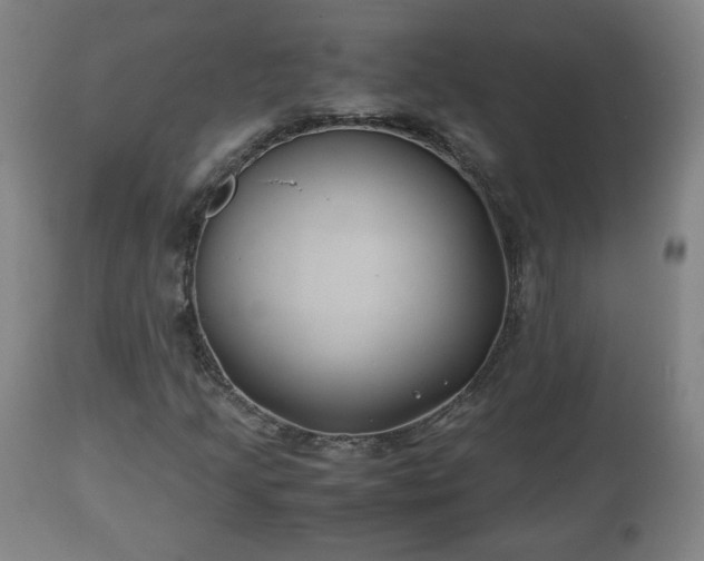 X0000110931205200906251325