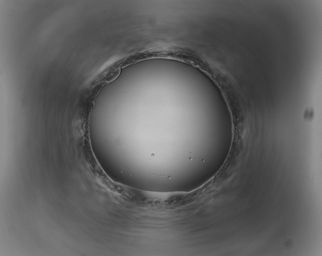 X0000110931206200906251325
