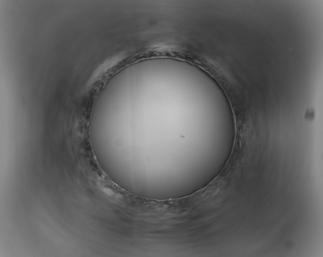 X0000110931207200906251325