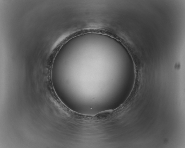 X0000110931208200906251325