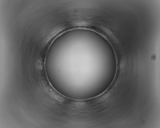 X0000110931209200906251325