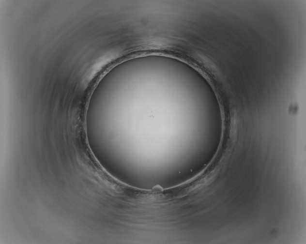 X0000110931210200906251325