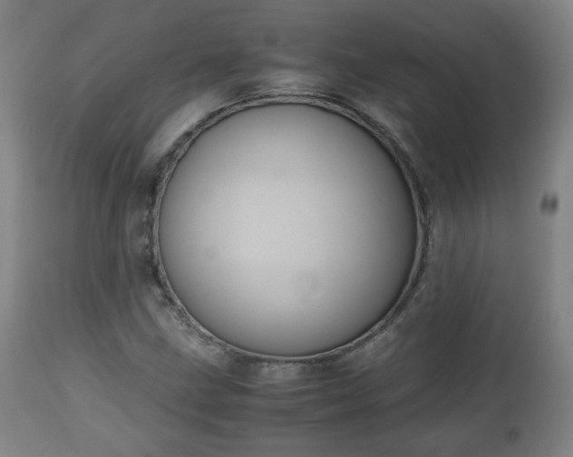 X0000110931211200906251325