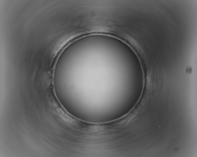 X0000110931212200906251325