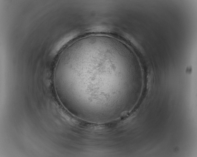 X0000110931213200906251325