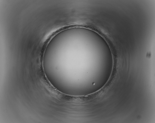 X0000110931214200906251325