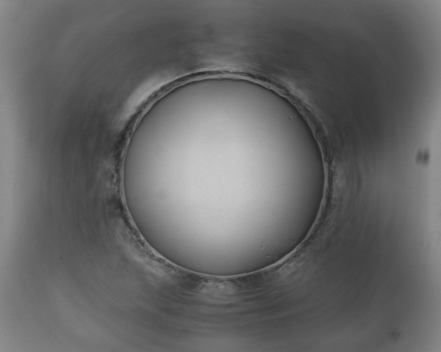 X0000110931215200906251325