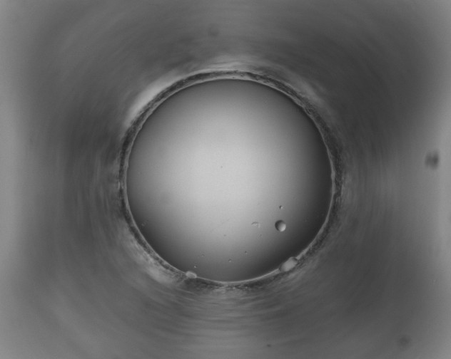 X0000110931216200906251325