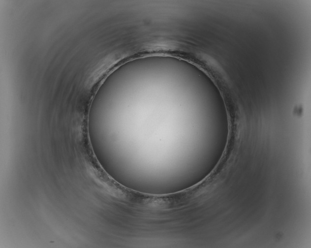 X0000110931217200906251325