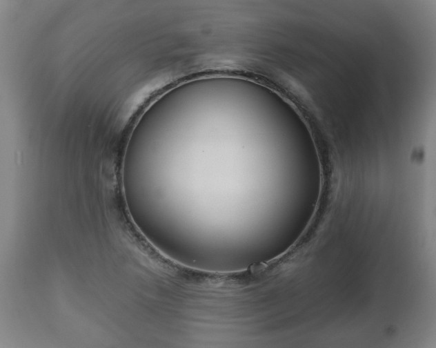 X0000110931218200906251325