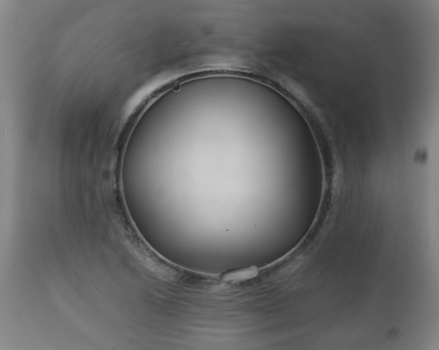 X0000110931222200906251326