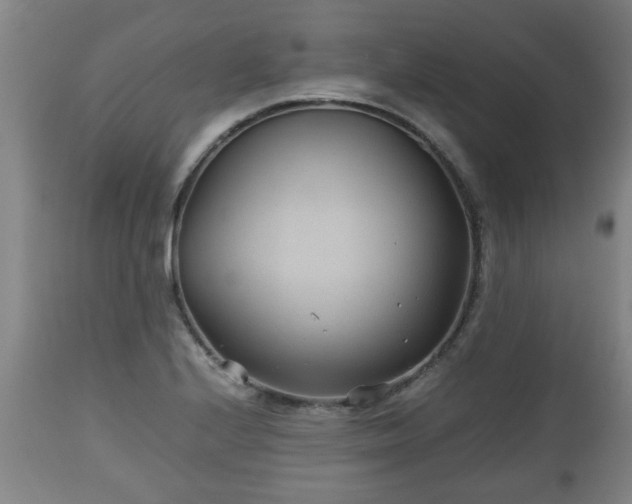 X0000110931224200906251326