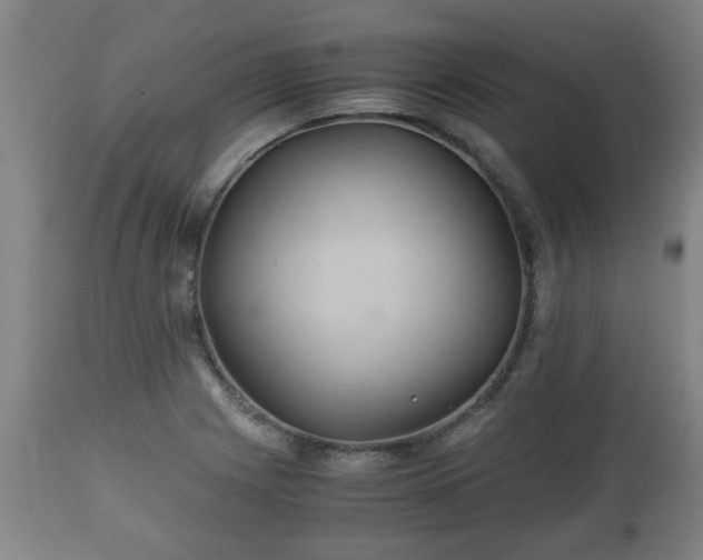 X0000110931225200906251326