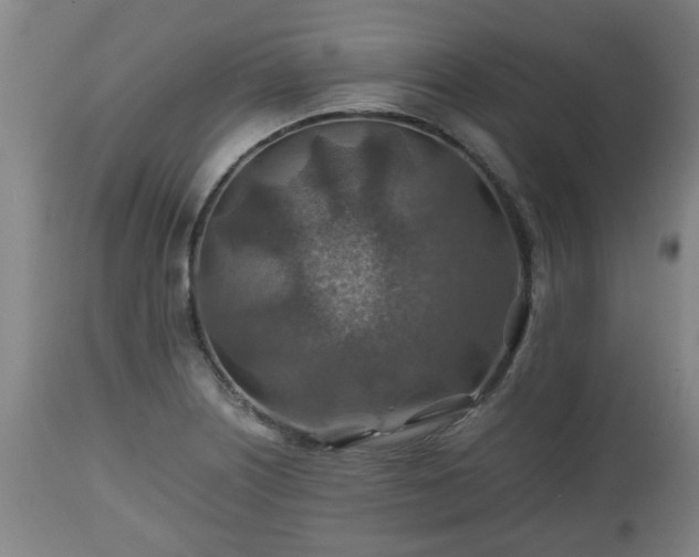 X0000110931226200906251326