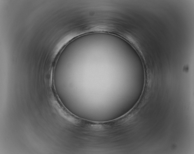 X0000110931227200906251326