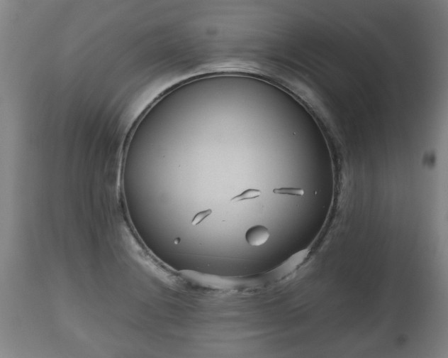 X0000110931228200906251326