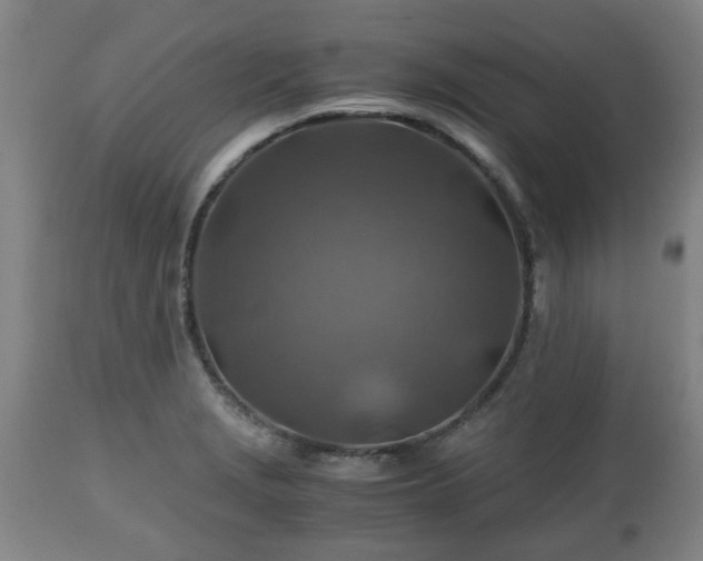 X0000110931229200906251326