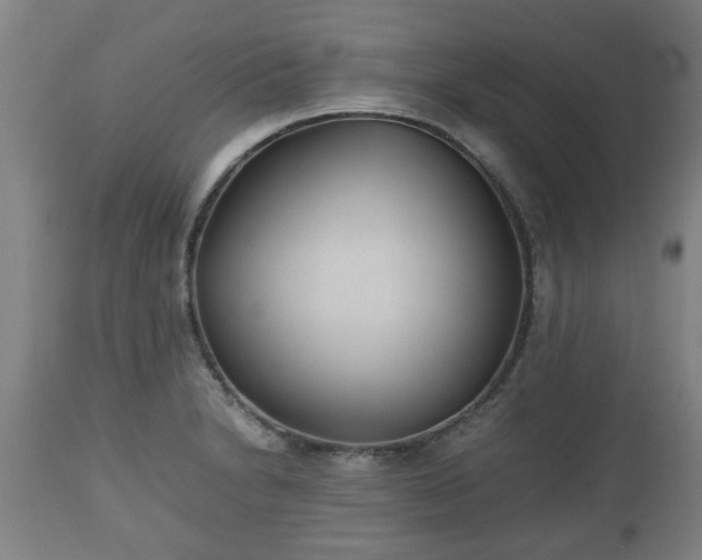 X0000110931230200906251326