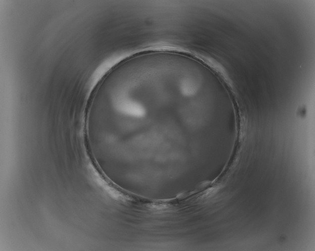 X0000110931231200906251326