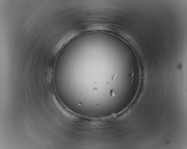 X0000110931233200906251326