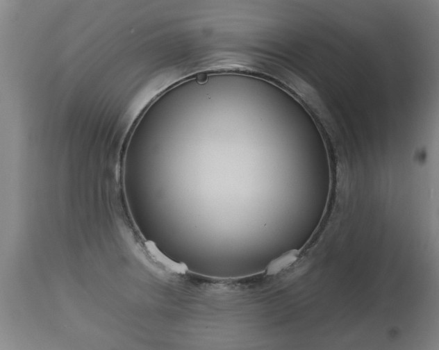 X0000110931234200906251326