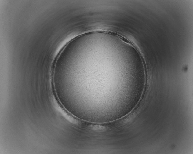 X0000110931235200906251326