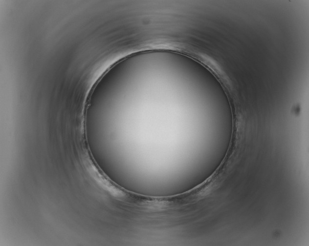 X0000110931236200906251326